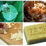 Receitas populares