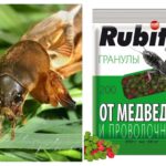 Corta Rofatoks granulado de Medvedka