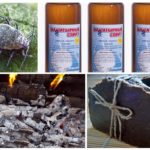 Receitas Caseiras Aphid