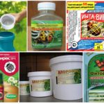 Pragas biológicas e químicas