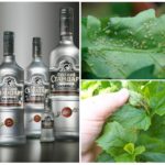 Vodka na luta contra pulgões