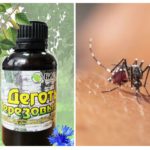 Alcatrão de bétula de mosquitos