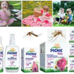 Série de bebê infantil piquenique