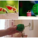 Uso de fumigador de mosquito