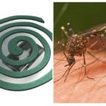 Bobinas de mosquito