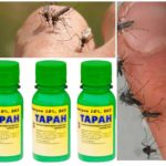 Significa o Ram dos mosquitos