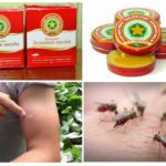 Balsam asterisco de mosquitos e suas mordidas