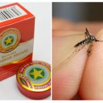 Asterisco de bálsamo