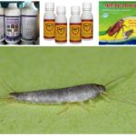 Bahan kimia perosak