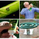 Protección de insectos