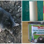 Mole Chemicals