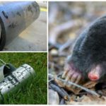 Armadilha de Mole