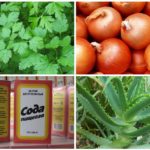 Receitas populares de picada de abelha