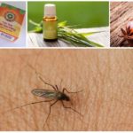 Repelentes de mosquitos de rua