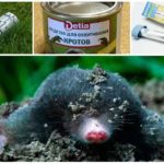 Métodos para a destruição de moles