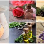 Aromamasla contra mosquitos