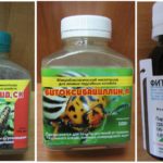 Preparações biológicas contra o bicho da seda