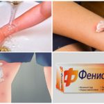 Ações necessárias após a mordida