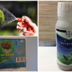 Produtos Químicos Caterpillar