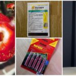 Produtos químicos tóxicos para combater lagartas