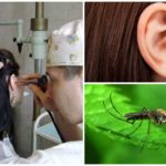 Mosquito no ouvido