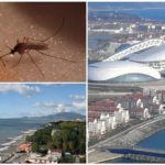 Mosquitos no Território de Krasnodar