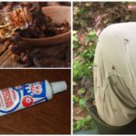 Creme de mosquito com óleo de cravo