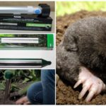 Repelentes de Ecosniper e Trovão