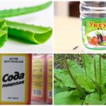 Medicina tradicional para o tratamento de picadas de mosquito
