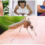 Consequências da picada de mosquito da malária