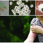 Repelente de mosquitos para crianças
