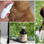 Repelente de mosquitos para animais