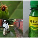Keberkesanan dadah Tsifox dari kutu