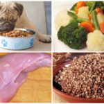 Pet Food