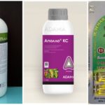 Insecticidas para combatir los ácaros