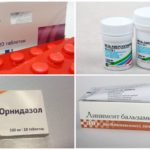 Medicamentos para combater ácaros da orelha