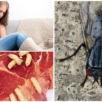 Envenenamento intestinal devido a vermes