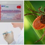 Vacinação contra encefalite transmitida por carrapatos