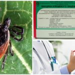 Vacinação contra encefalite transmitida por carrapatos