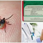 Prevenção de encefalite transmitida por carrapatos