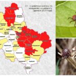 Áreas perigosas para carrapatos no mapa da região de Moscou