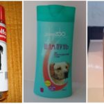 Shampoo Tick