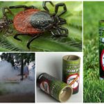 Bomba de fumaça Noite silenciosa de carrapatos