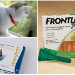 Produtos de proteção de carrapatos