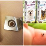 Tablet dari kutu untuk anjing Bravekto