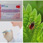 Vacinação contra encefalite transmitida por carrapatos