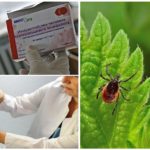 Vacina contra encefalite transmitida por carrapatos