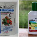 Produtos químicos de uva