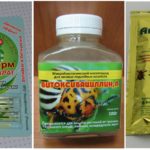Produtos biológicos para combater ácaros