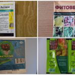 Pesticidas para combater a mosca da cebola